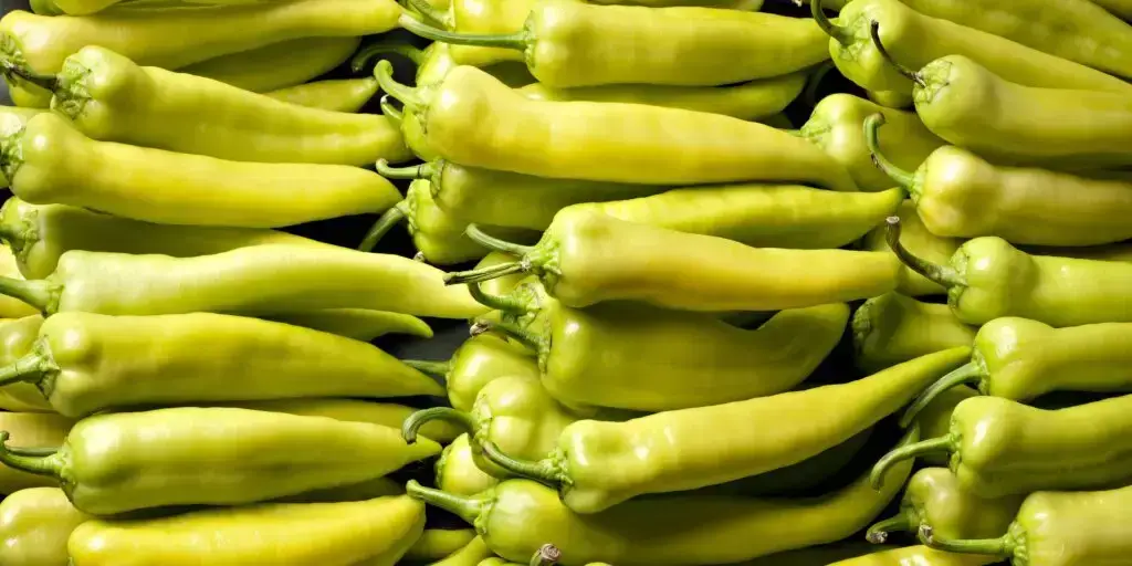 Najznámejšie chilli papričky. Poznáte všetkých 12 papričiek? 1 68