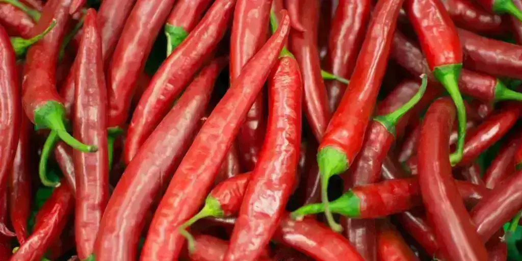 Najznámejšie chilli papričky. Poznáte všetkých 12 papričiek? 2 71