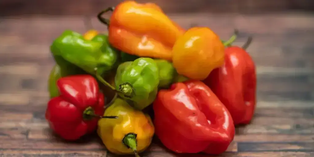 Najznámejšie chilli papričky. Poznáte všetkých 12 papričiek? 3 85