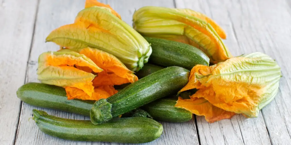 Jedlé kvety: Ktoré kvety sa využívajú v gastronómii? 2 jedle-kvety-cukety-rastlinkovo
