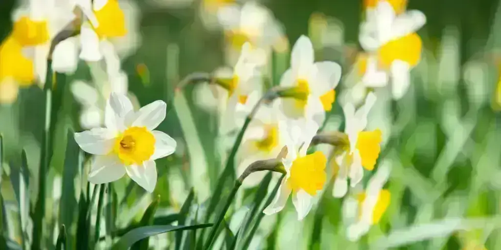 115