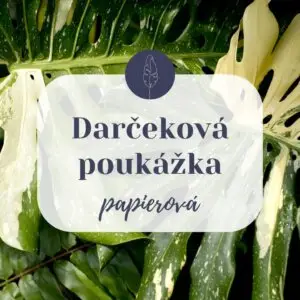 darcekova-poukazka-rastlinkovo