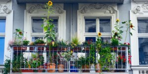 balkon-plny-zelene-rastlinkovo