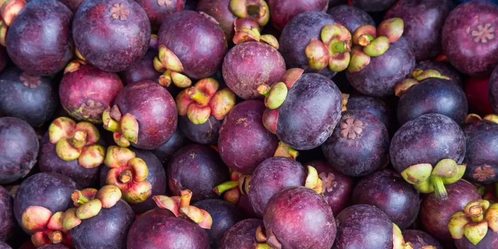 Fialové ovocie Mangostan