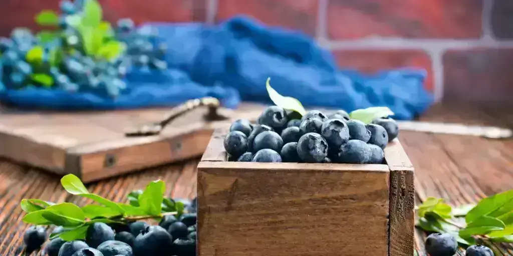 Rozlúčte sa so stresom. Vyskúšajte čučoriedkový shot! 3 52 1