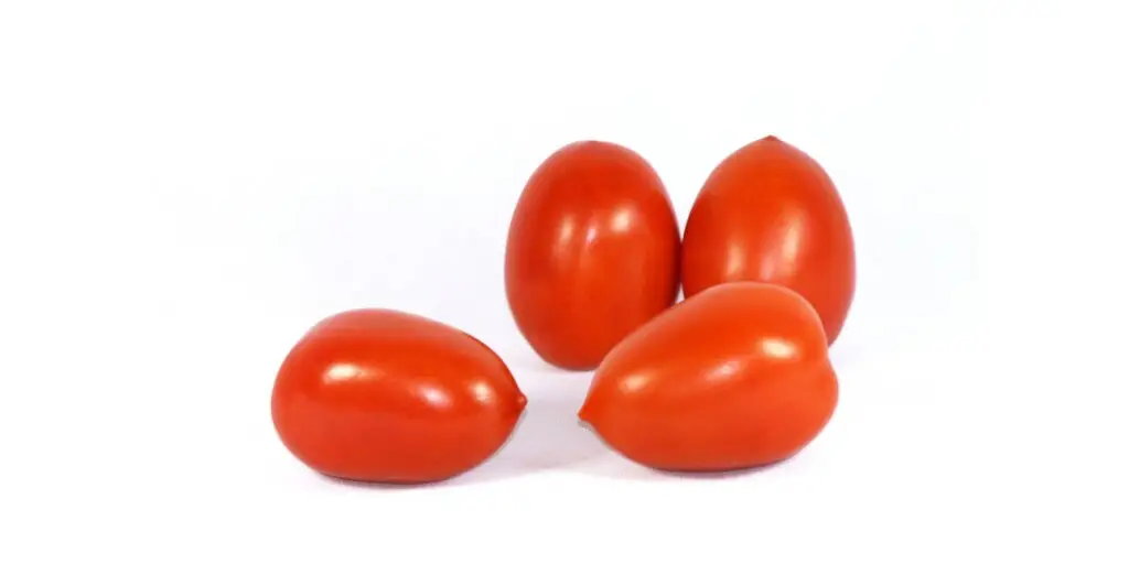 paradajky-rajciny-opalka-rastlinkovo