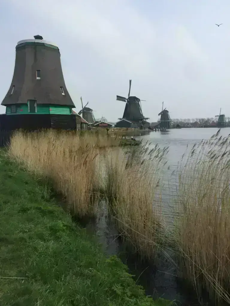 IMG 2577