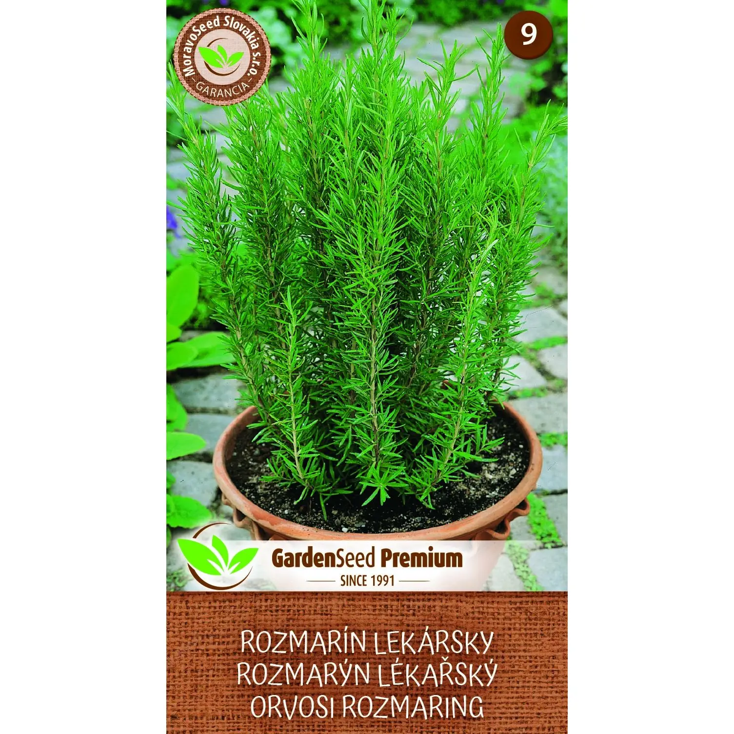 E-shop MoravoSeed Rozmarín lekársky 0,1 g