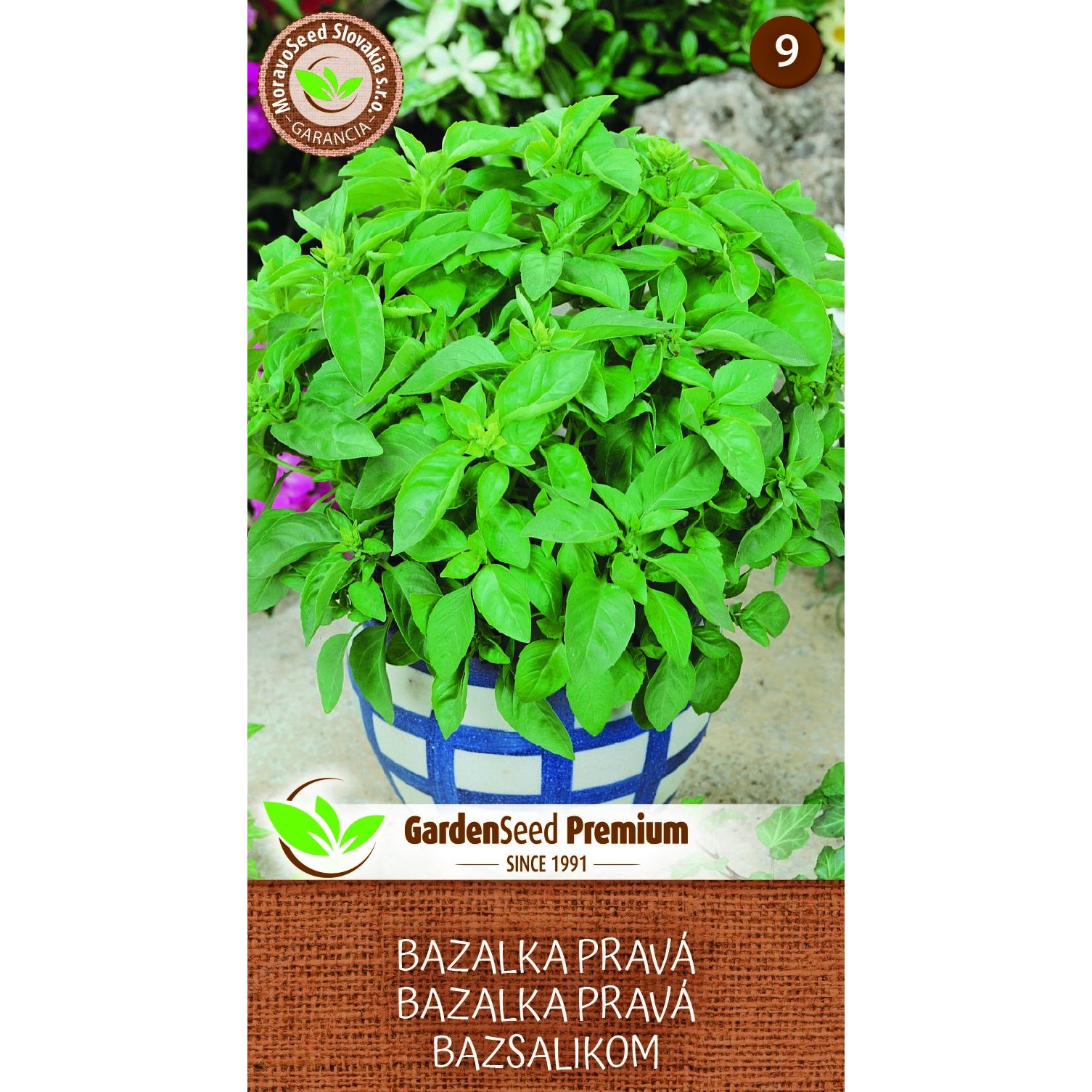 MoravoSeed Bazalka pravá – premium 1 g