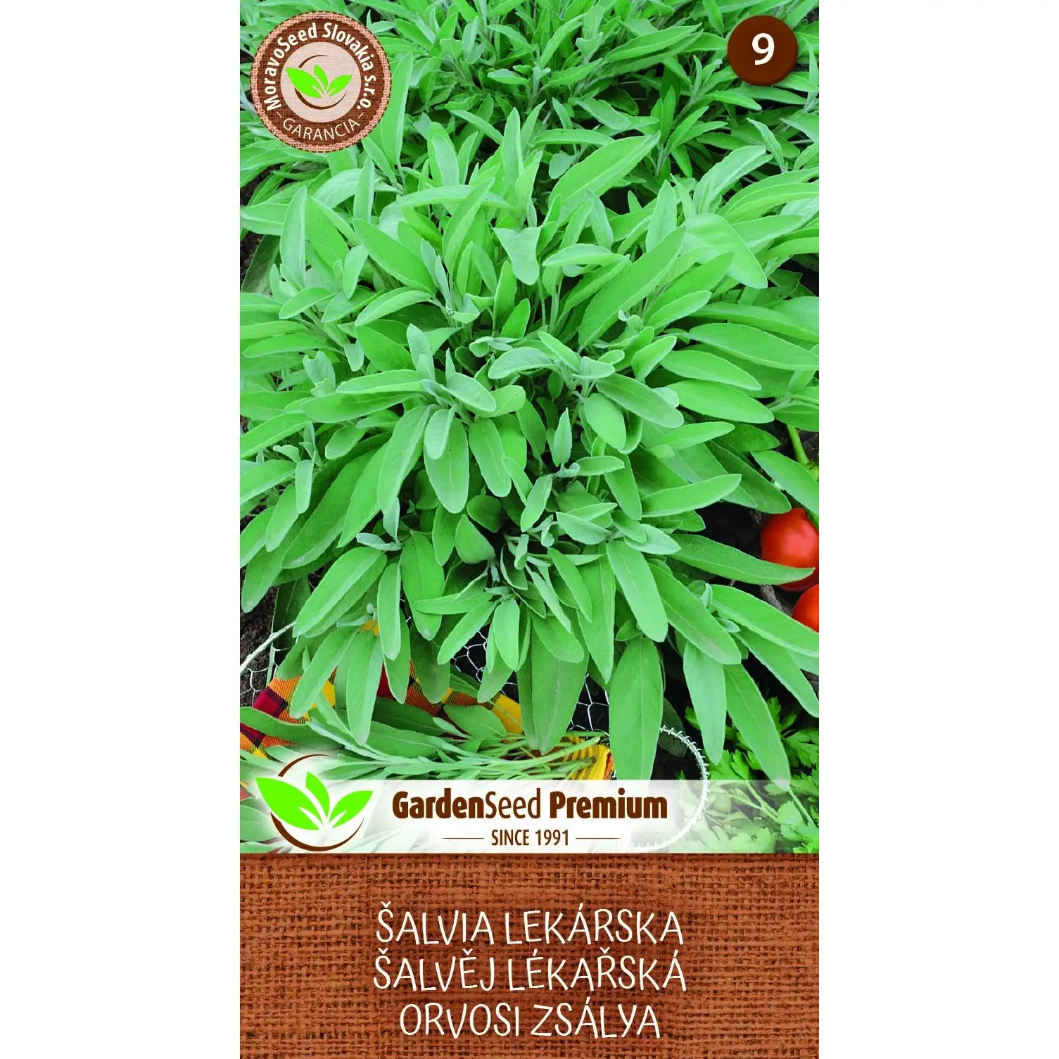E-shop MoravoSeed Šalvia lekárska 0,5 g