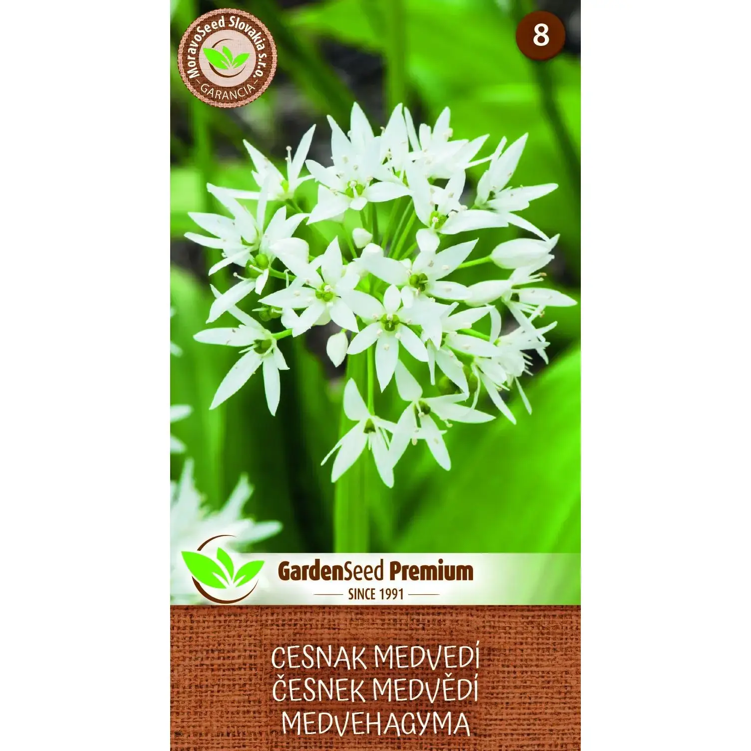 E-shop MoravoSeed Cesnak Medvedí 0,3 g