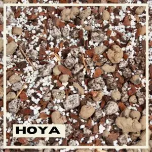 rastlinkovo-substrat-hoya-rastlinkovo
