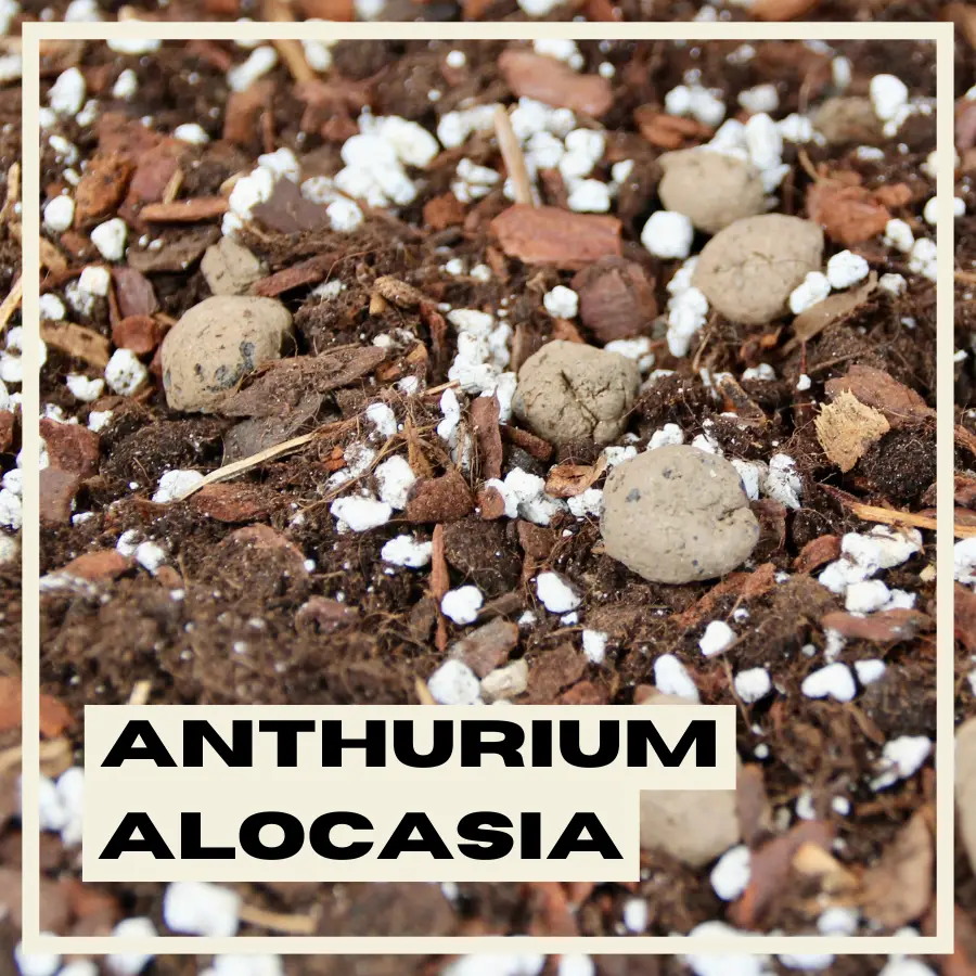 E-shop Rastlinkovo substrát Anthurium & Alocasia 1 liter