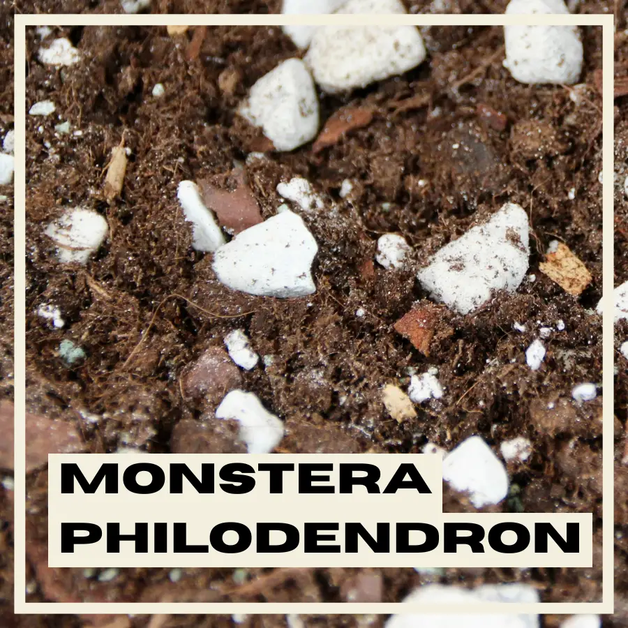 Rastlinkovo Substrát Monstera & Philodendron 5 litrov 2 monstera-philodendron-substrat-rastlinkovo