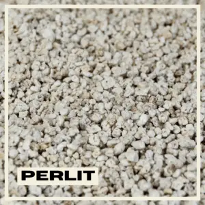 perlit-rastlinkovo