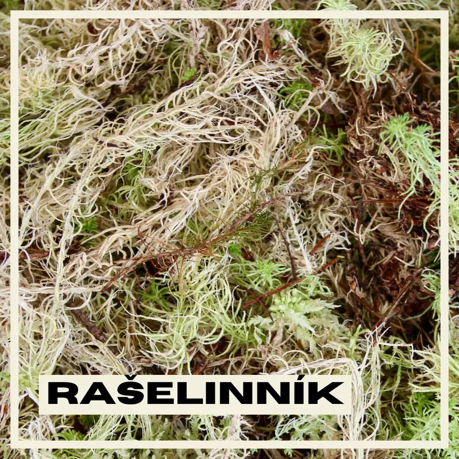 Rastlinkovo rašelinník Sphagnum moss 1 liter - živý, netriedený 2 raselinnik-rastlinkovo