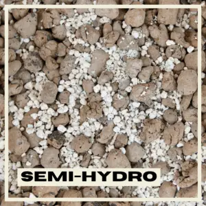 semi-hydro-rastlinkovo