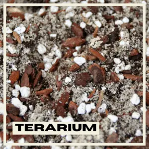 terarium-substrat-rastlinkovo