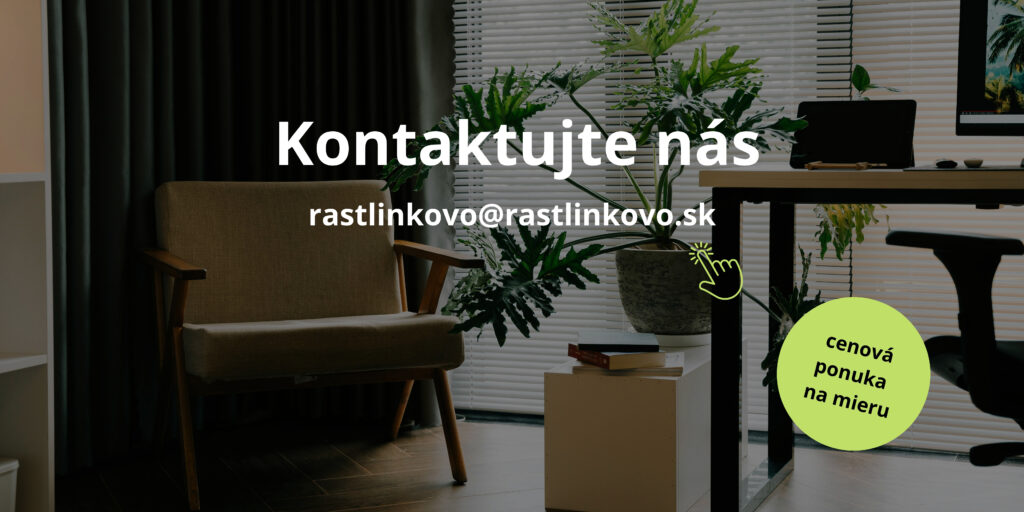 servis-rastlin