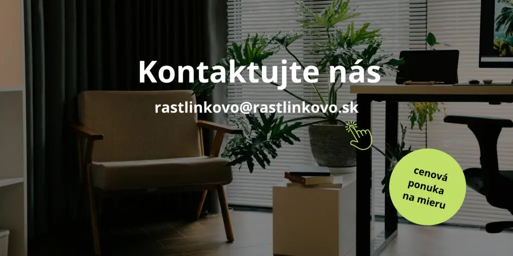 servis-rastlin