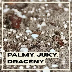 substrat-palmy-juky-draceny-rastlinkovo