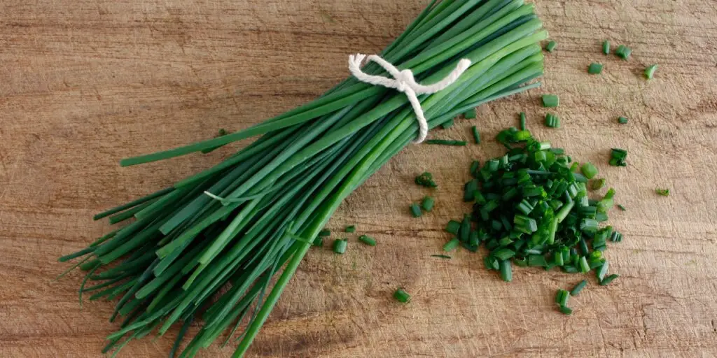 pažítka-cesnak-pažítkový-rastlinkovo
