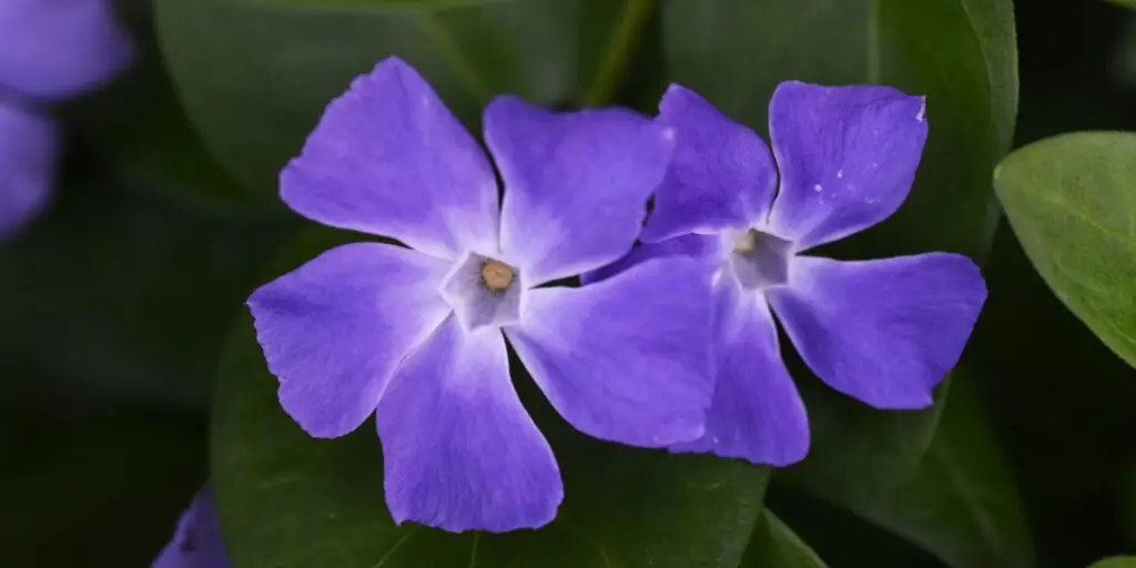 4 4