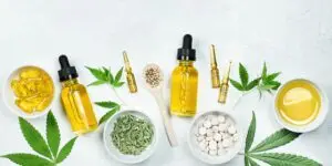 konope-cannabis-rastlinkovo