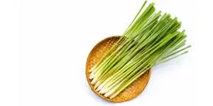 citronela-citronova-trava-rastlinkovo