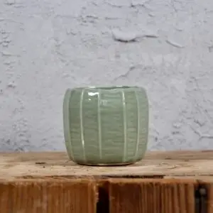 kvetinac-verde-rastlinkovo