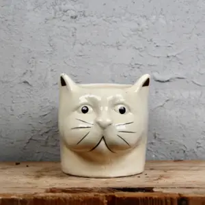 kvetinac-cat-rastlinkovo