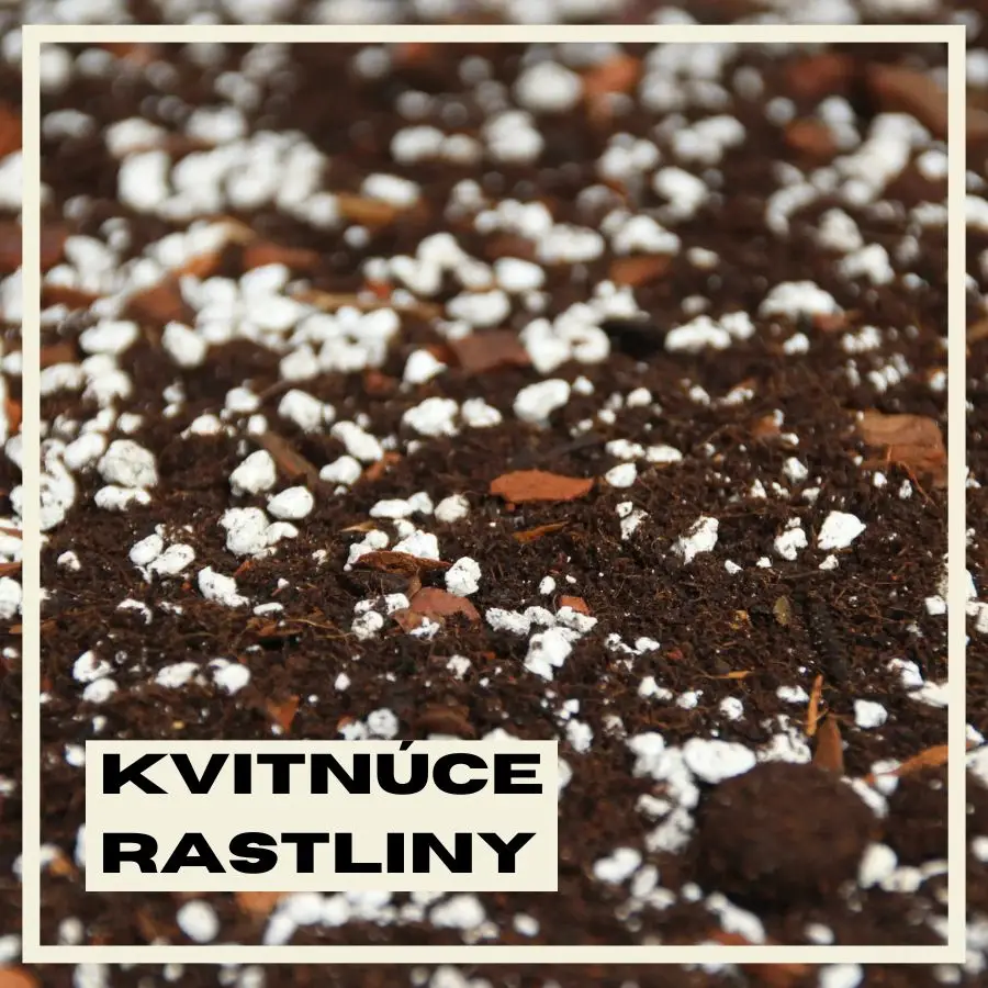 Rastlinkovo substrát Kvitnúce rastliny 5 litrov 1 rastlinkovo-substrat-kvitnuce-rastliny-rastlinkovo