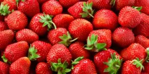 jahody-recept-rastlinkovo