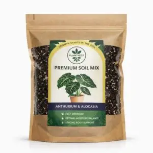 PlantNest-anthurium-alocasia-substrat-na-rastliny-rastlinkovo