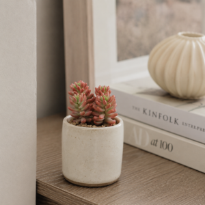 sedum-rubrotinctum-aurora-rastlinkovo