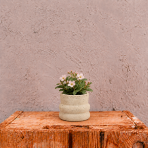 kvetinac-kolibri-light-grey-bledosedy-kvetinac-na-rastliny-rastlinkovo