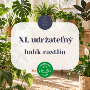 XL-udrzatelny-balik-rastlin-rastlinkovo