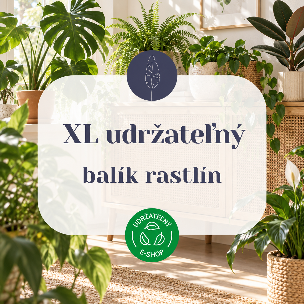 Udržateľný balík rastlín XL 1 XL-udrzatelny-balik-rastlin-rastlinkovo